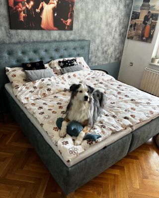 Naše postele si zamilujete vy, i vaši zvířecí mazlíčci 🐶 Děkujeme paní Anetě za krásnou fotografii její vysněné postele u...